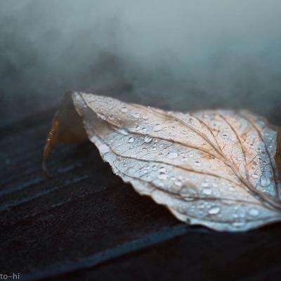 灰姑娘公主装上色